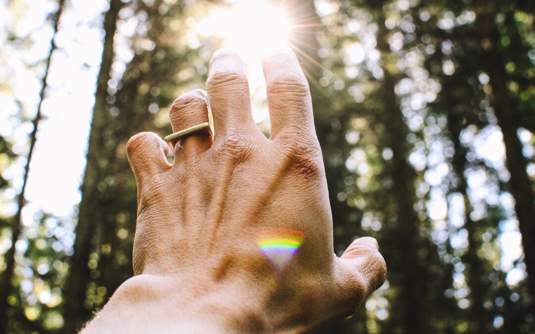 Hand reaching toward sun in forest - Manifestation