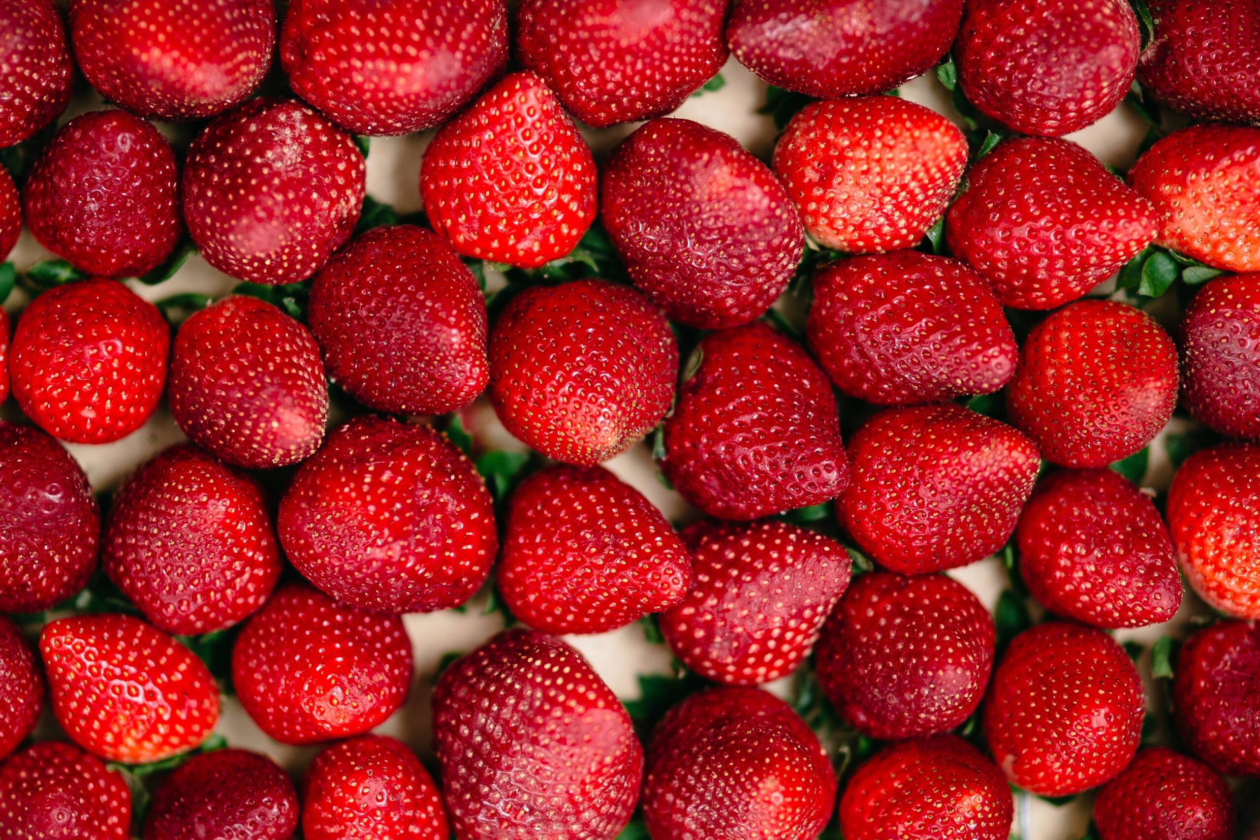 No-Bake Cottage Cheese Cheesecake with Strawberries Recipe