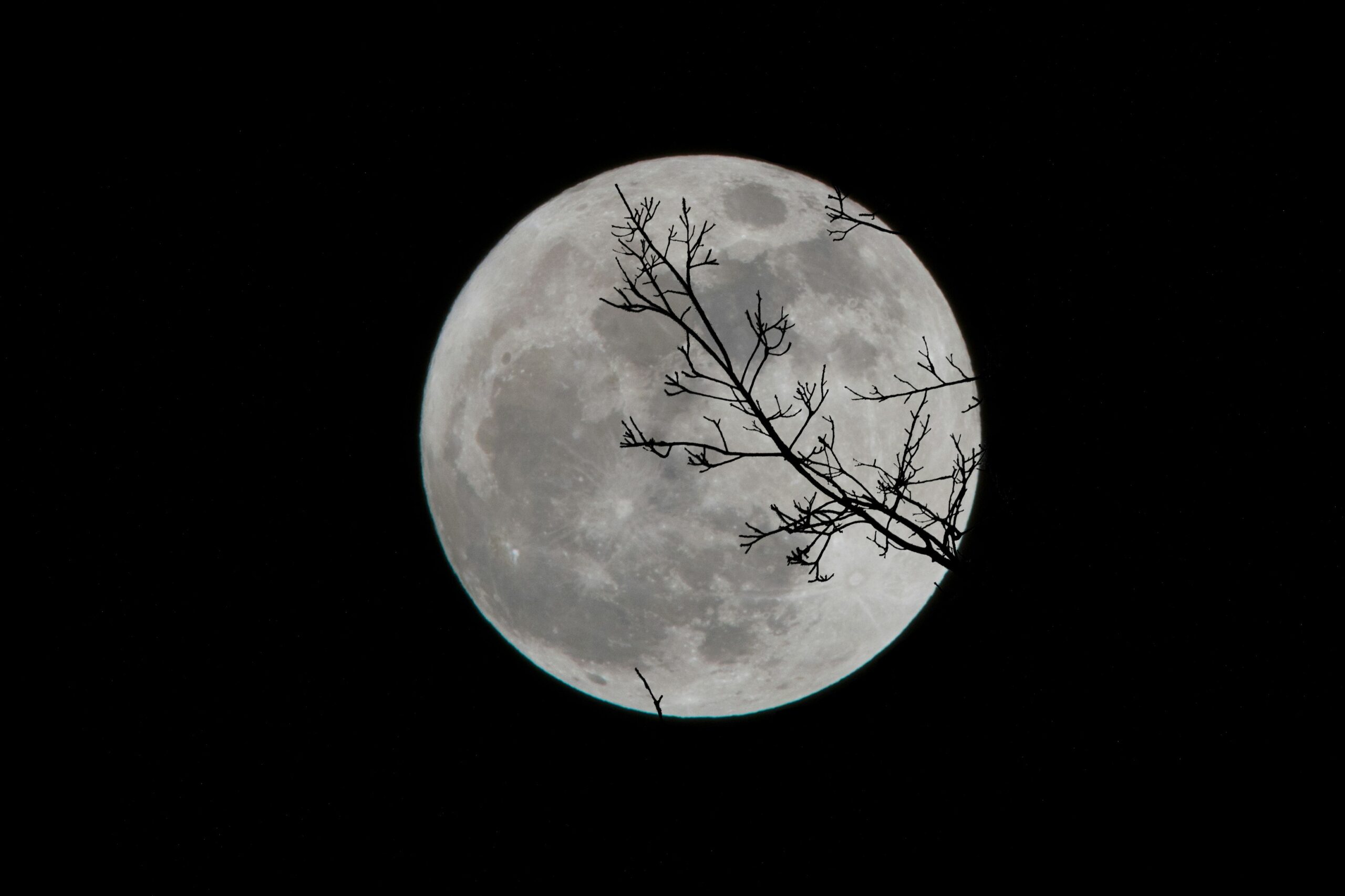 Releasing Shadows, Embracing Light: A Spiritual Halloween Ritual