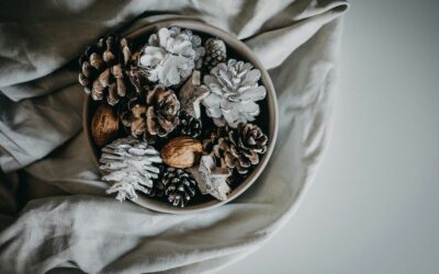 Mindful Holiday Survival: Managing Stress and Anxiety