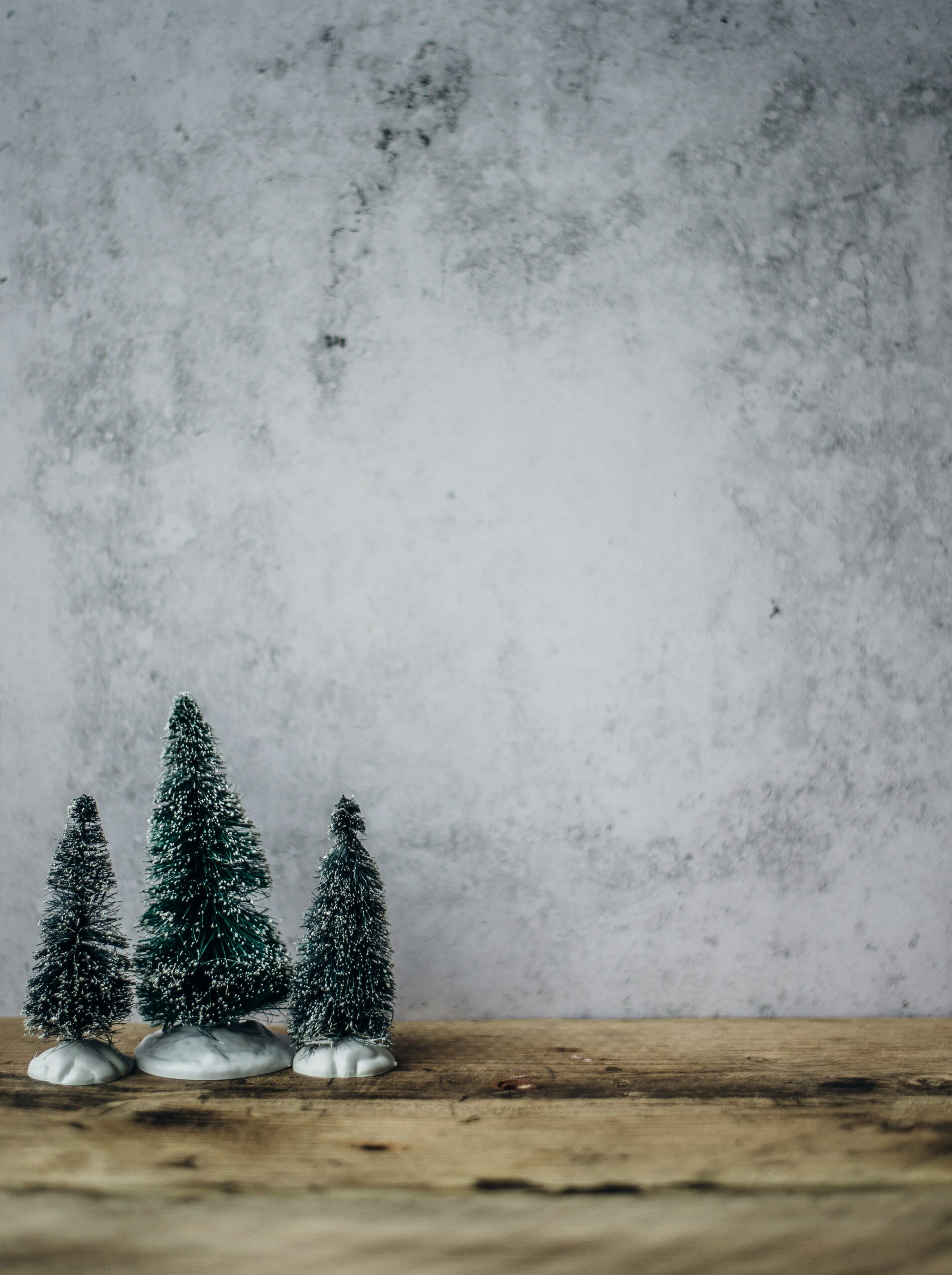 Mindful Holiday Survival: Managing Stress and Anxiety